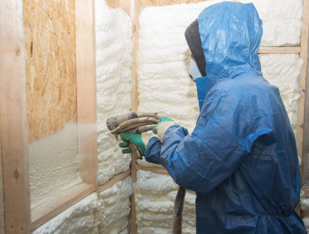 Best Attic Insulation Installation  in Onsted, MI